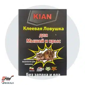 چسب موش کتابی کیان